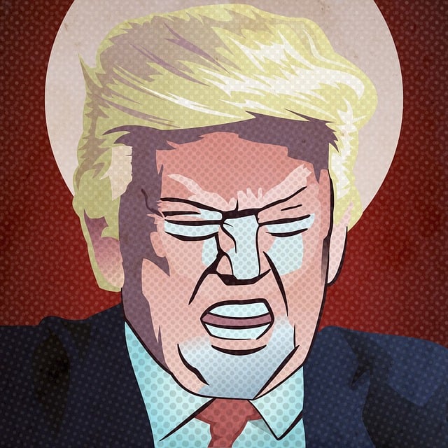 Big Trump Flags