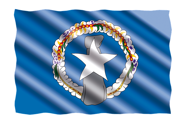 Buy Army of Northern Virginia Flags