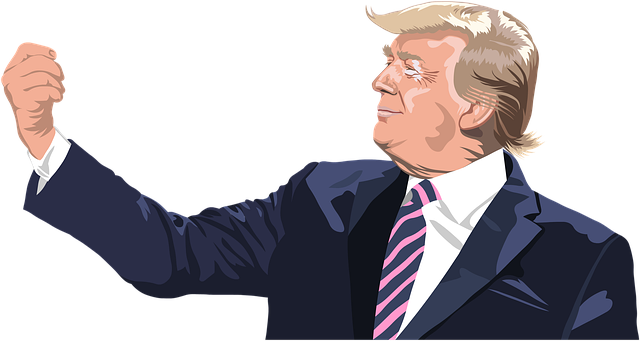 Buy Trump Flags