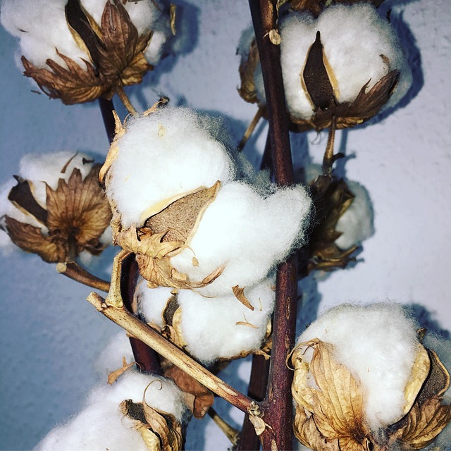 Cotton Rebel Flags