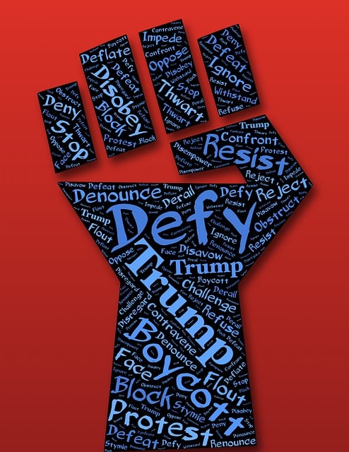 Fade resistant Trump flag with grommets