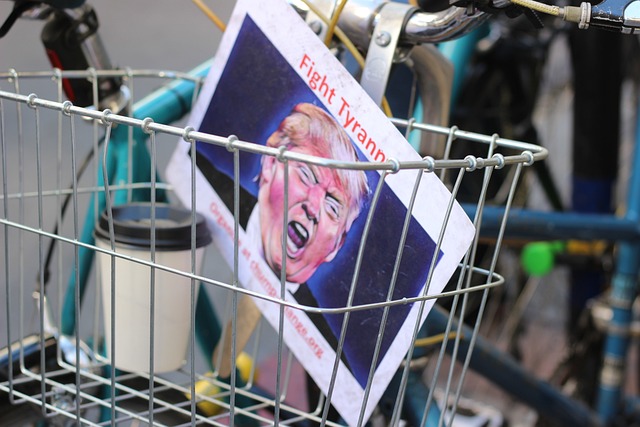 Heavy duty Trump flag 3x5 outdoor