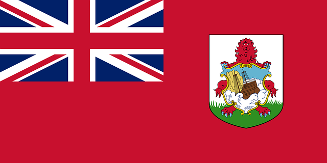 kriegsmarine-jack-flag-640x480-92680965.png