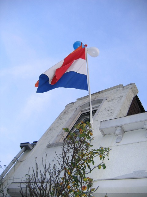 nazi party flags for sale