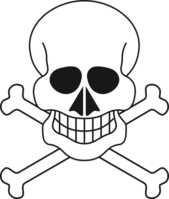 pirate-flags-640x480-20263067.png