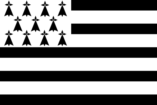 Reenactors Quality Civil War Flags
