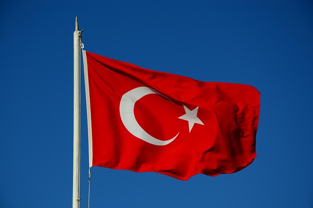 SS Flags