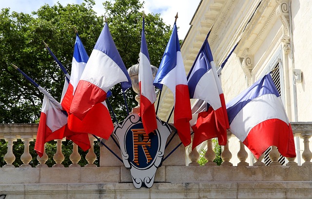 SS Flags
