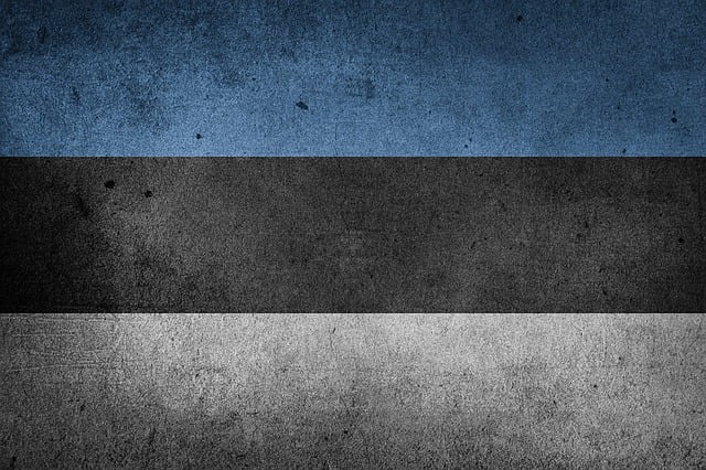 Swastika National Flag