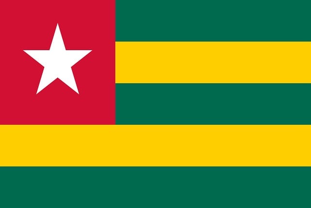 Swastika National Flag