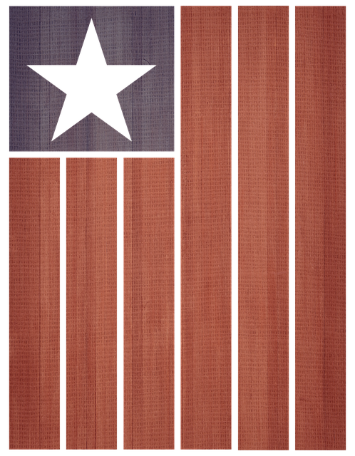 Trump American flag combo