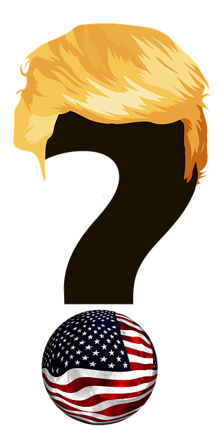 Trump American flag combo