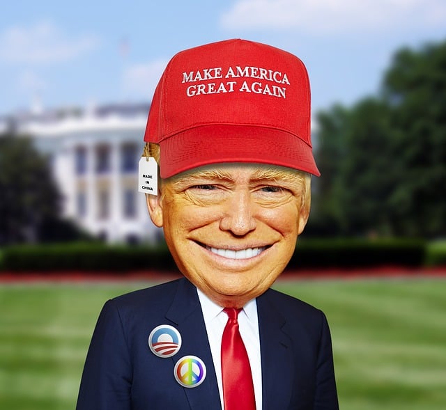 Trump Flag No More Bullshit