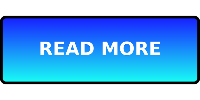 trump-flag-no-more-bullshit-640x480-58503517.png