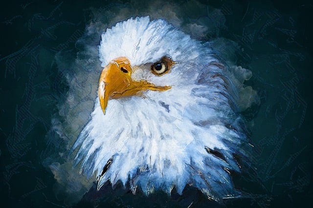Trump flag with eagle and slogan