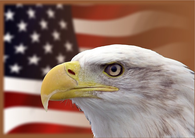 Trump flag with eagle and slogan