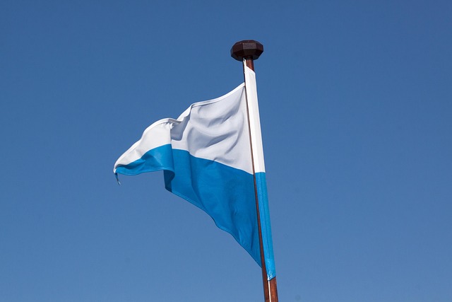 Wehrmacht Combat Standards Flag
