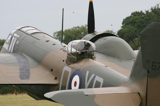 ww2-flags-640x480-82730062.jpeg