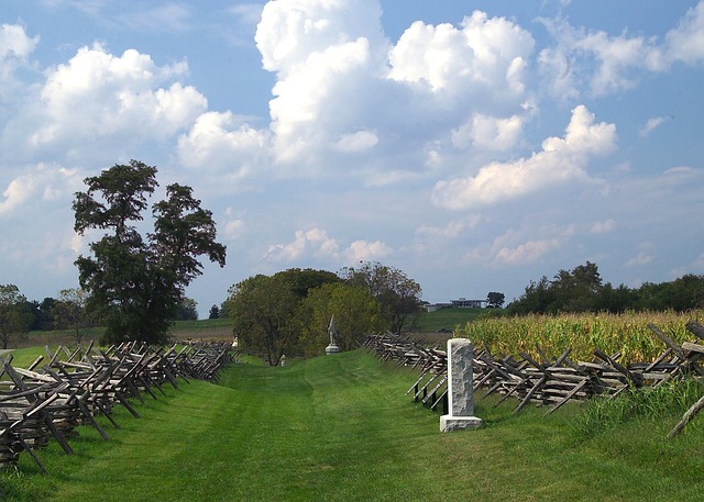 Civil War Flags for Sale