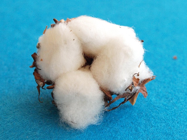Cotton Rebel Flags