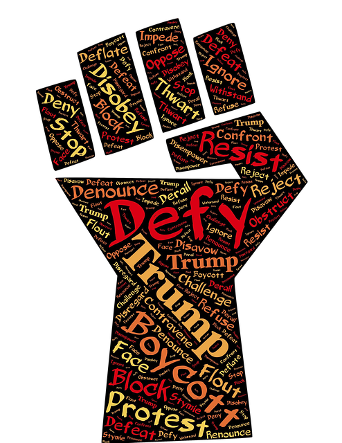 fade-resistant-trump-flag-with-grommets-640x480-15283828.png