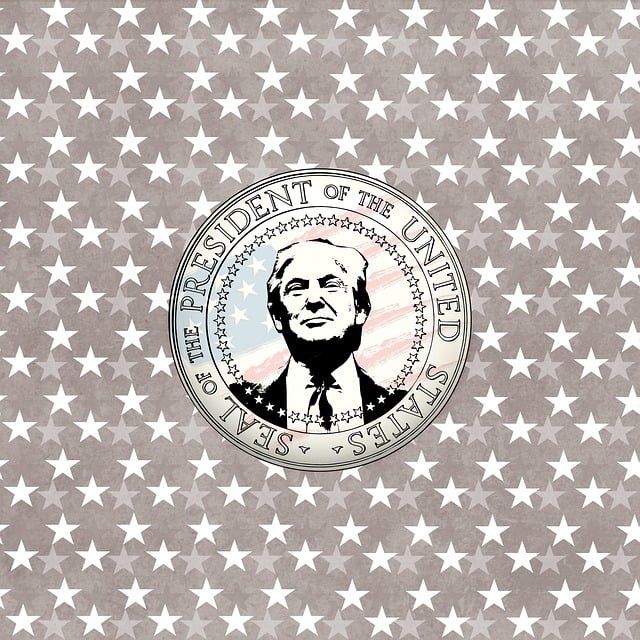 large-trump-flag-double-stitched-polyest-640x480-43949491.jpeg