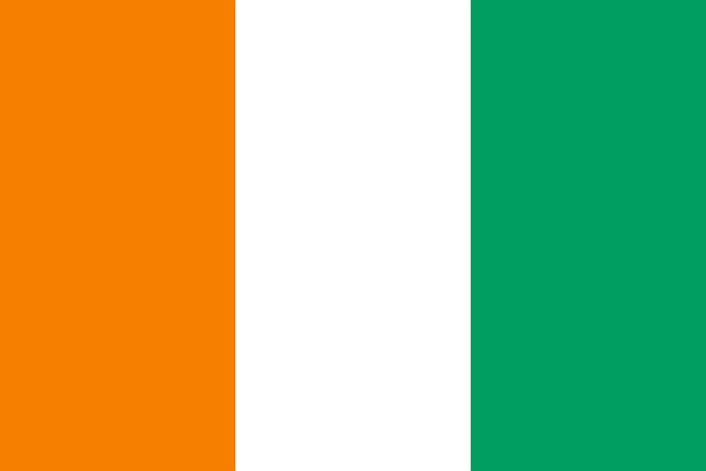 National Swastika Flag