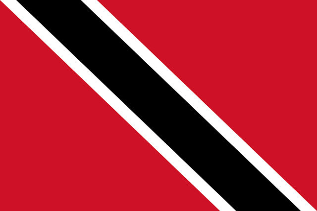 National Swastika Flag
