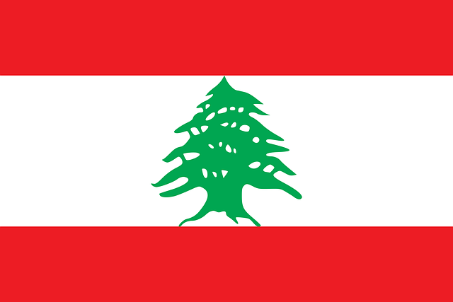 National Swastika Flag