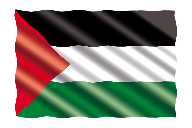 nazi flags
