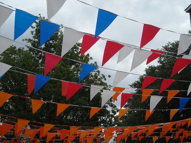 Nazi Party flags