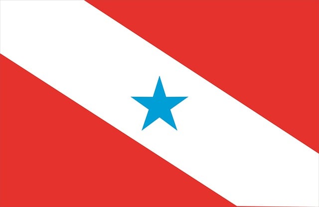 nazi party flags for sale