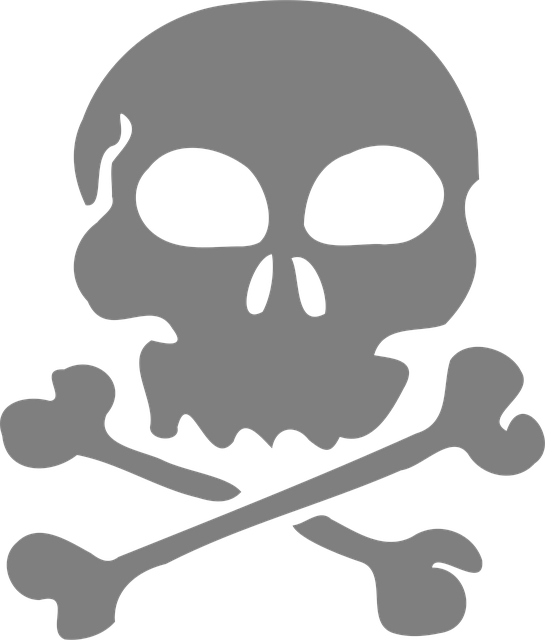 pirate flags for sale