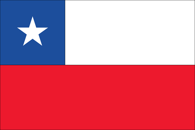 SS Flags