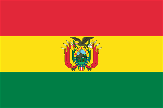 SS Flags