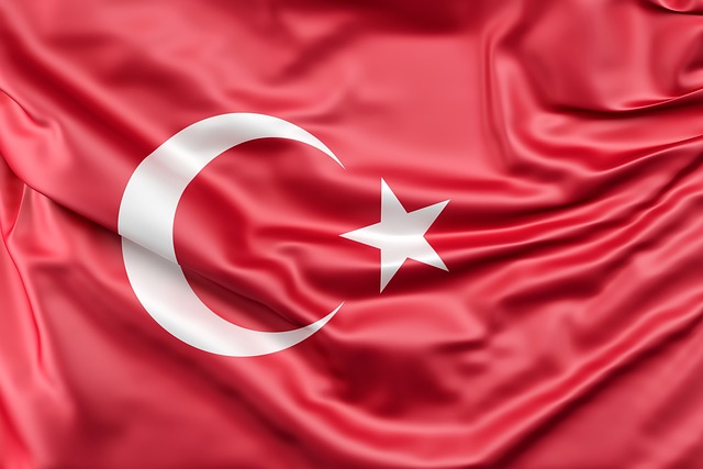 Stars and Bars Flags
