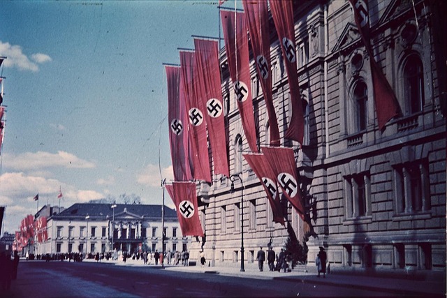 Swastika Flag