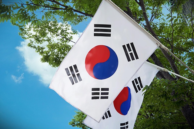 Swastika Flag