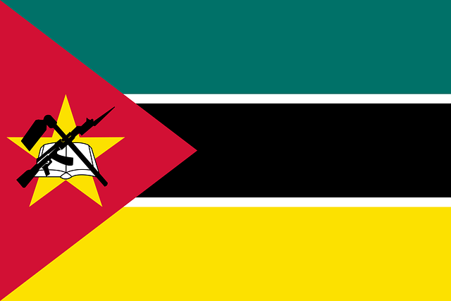 Swastika National Flag