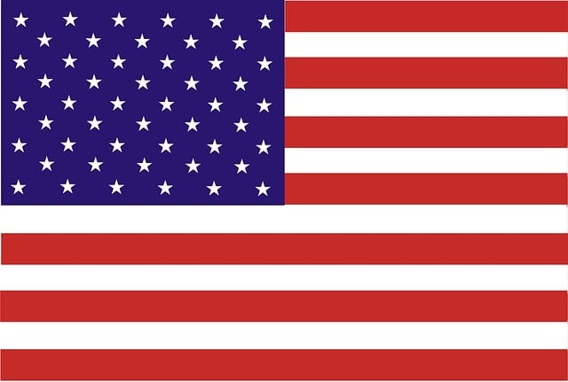 Swastika National Flag