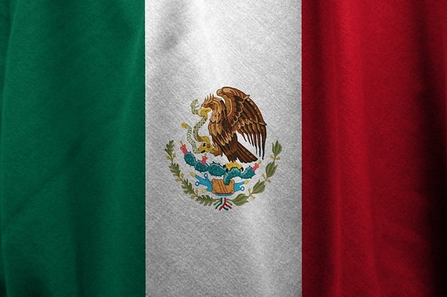 Swastika National Flag