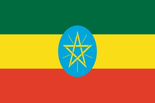 Swastika National Flag