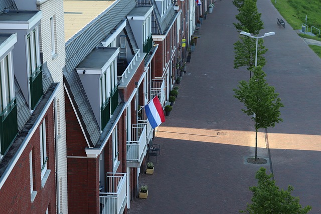Trump Flag No More Bullshit