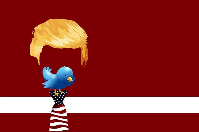 Trump Flags