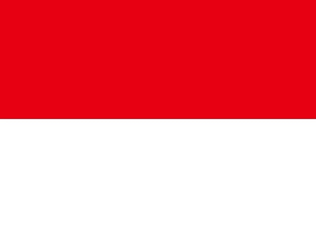 Wehrmacht cross emblem Flag