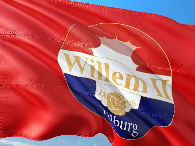 SS Division Flags