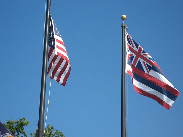 Big Trump Flags