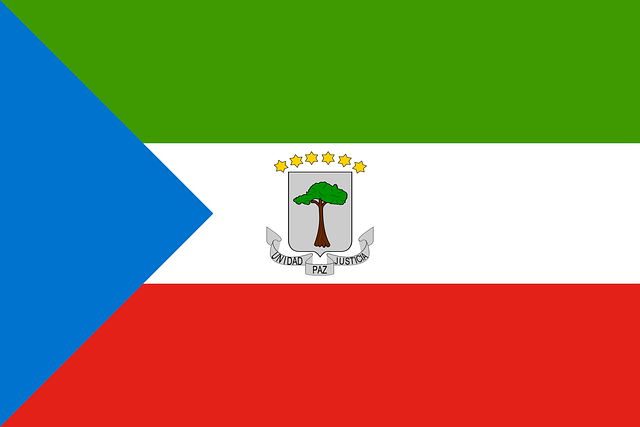 National Swastika Flag