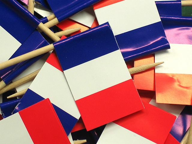 Nazi Party flags