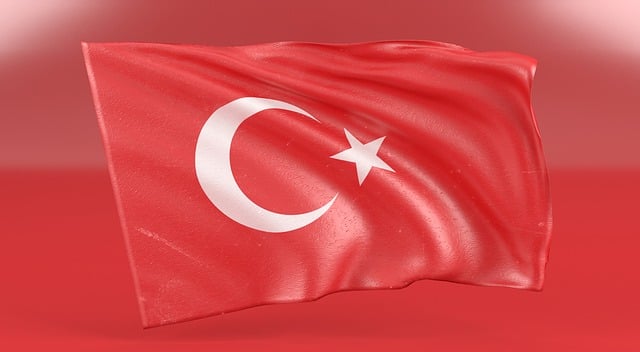 Officially licensed Stars and Bars Confederate flag